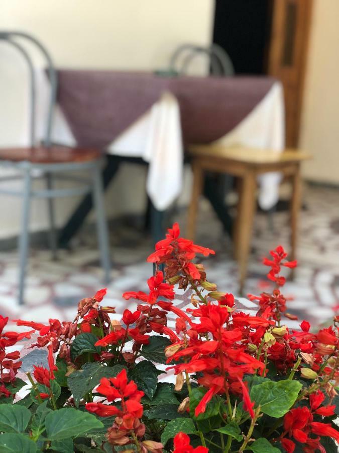 Guest House Plima 2 Budva Eksteriør billede